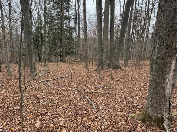 $125,000 | Haskell Road, Cuba, NY 14727