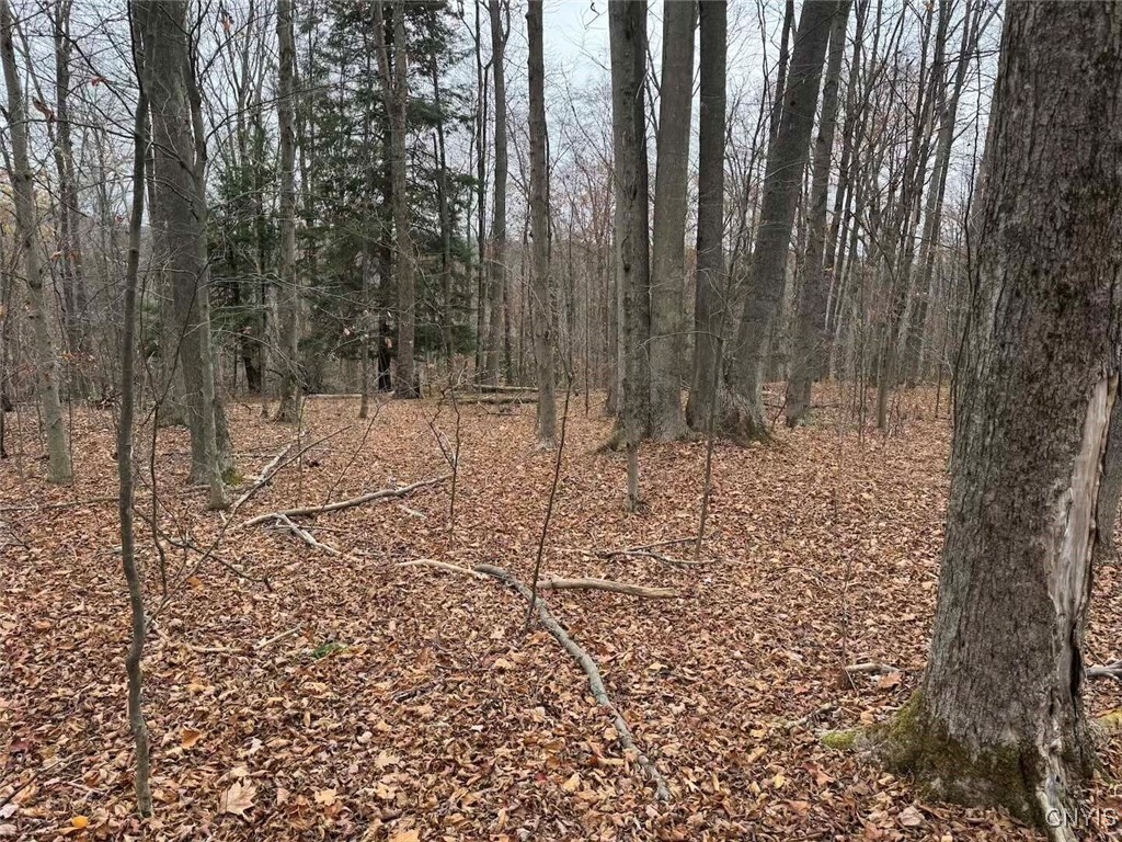 Haskell Road Cuba, NY 14727 - Photo 41 of 48