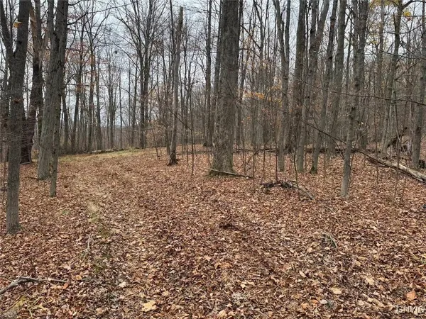 $125,000 | Haskell Road, Cuba, NY 14727