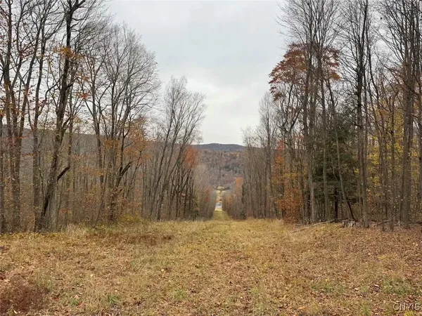 $125,000 | Haskell Road, Cuba, NY 14727