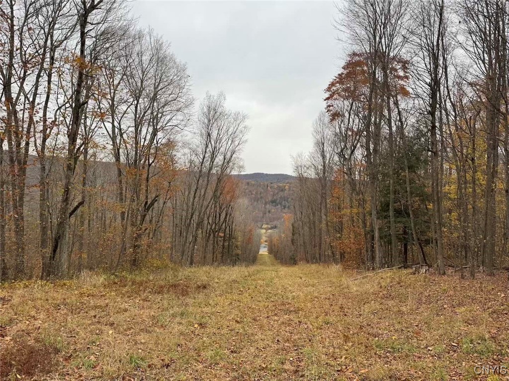 Haskell Road Cuba, NY 14727 - Photo 43 of 48