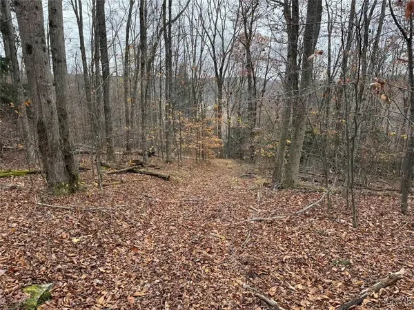 $125,000 | Haskell Road, Cuba, NY 14727