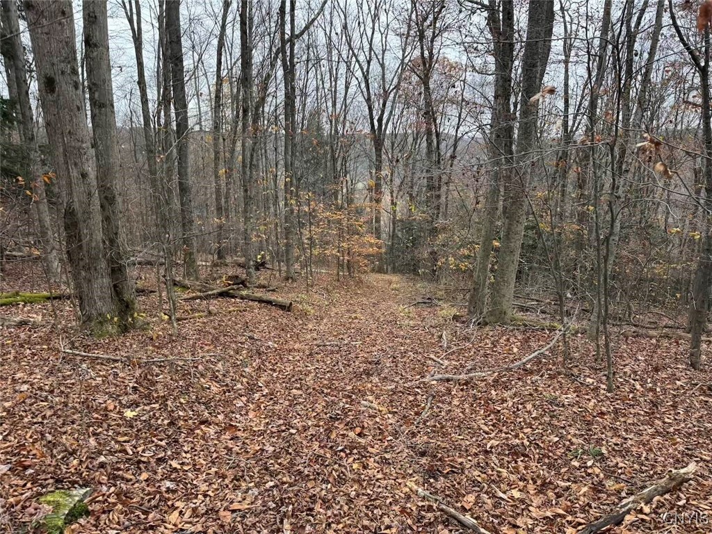 Haskell Road Cuba, NY 14727 - Photo 44 of 48