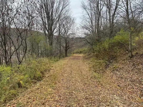 $125,000 | Haskell Road, Cuba, NY 14727