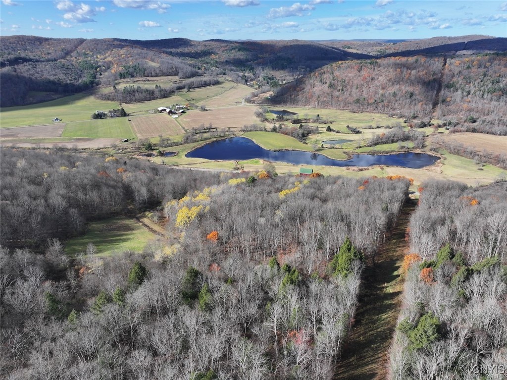 Haskell Road Cuba, NY 14727 - Photo 5 of 48