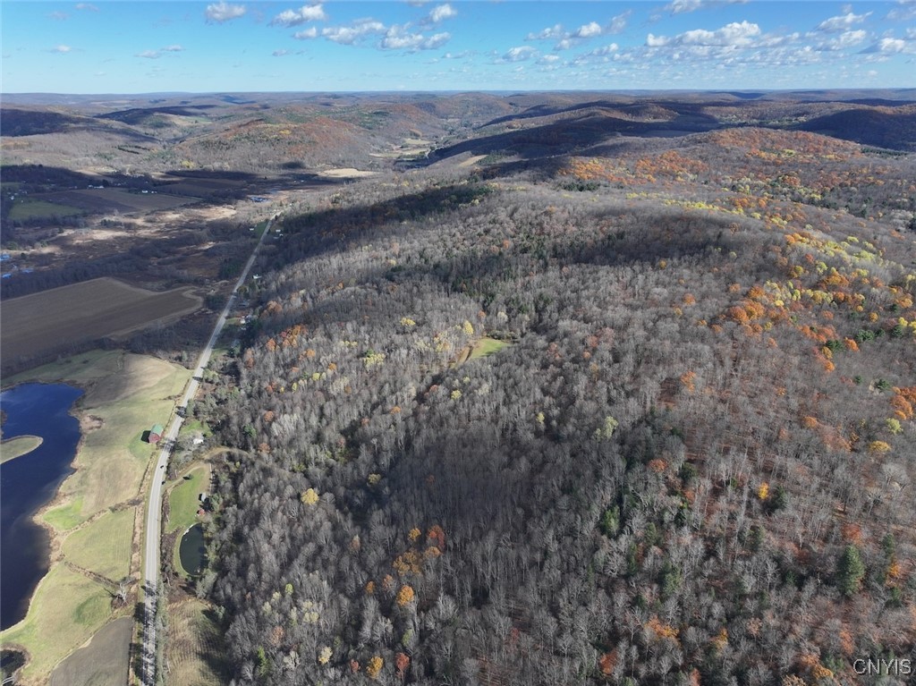 Haskell Road Cuba, NY 14727 - Photo 6 of 48