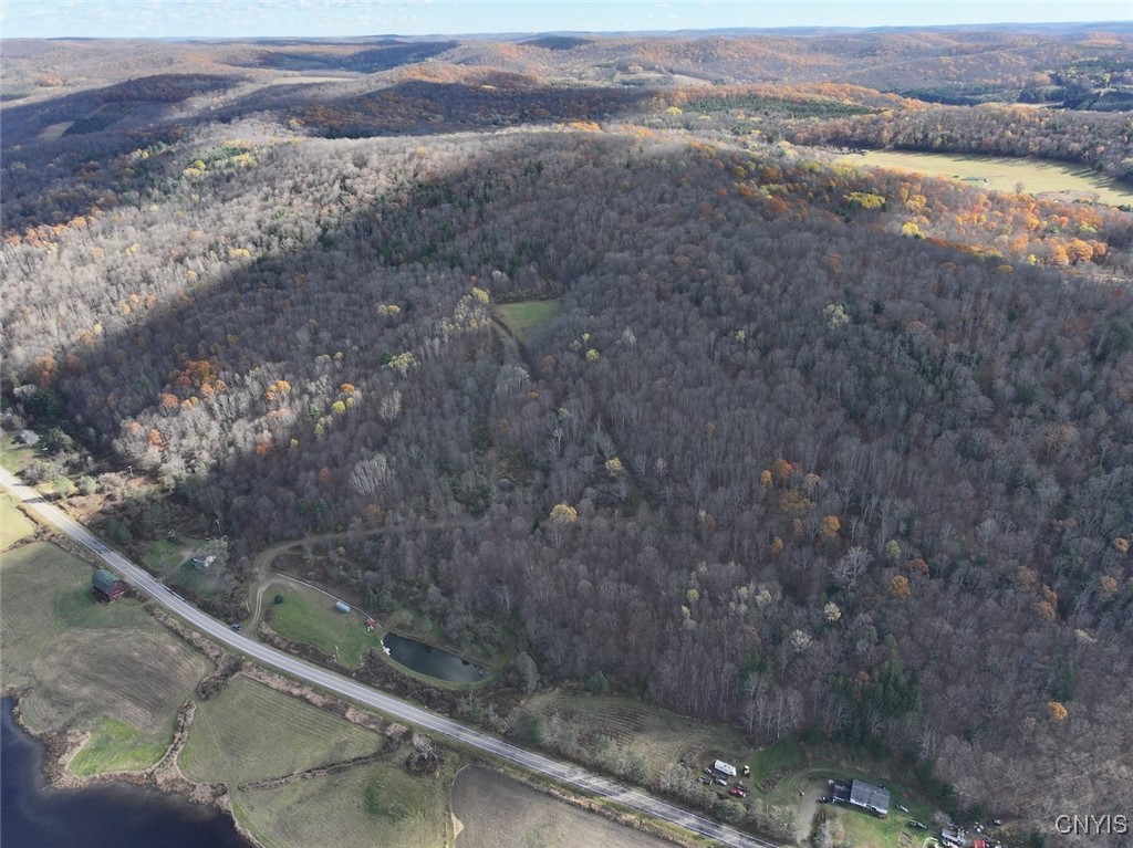 Haskell Road Cuba, NY 14727 - Photo 7 of 48