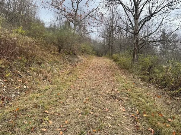 $125,000 | Haskell Road, Cuba, NY 14727