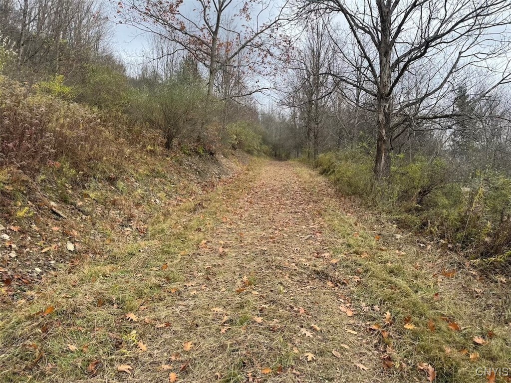 Haskell Road Cuba, NY 14727 - Photo 9 of 48