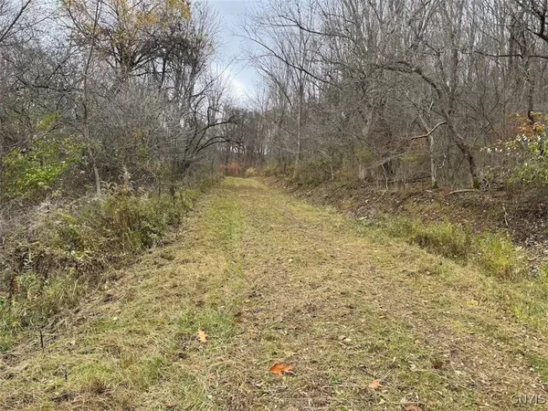 $125,000 | Haskell Road, Cuba, NY 14727