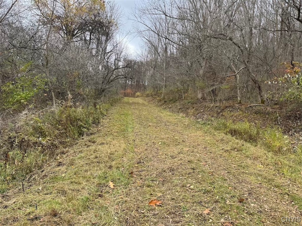 Haskell Road Cuba, NY 14727 - Photo 10 of 48