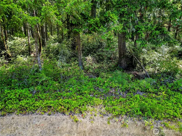 $17,000 | 10205 Eckenstam Johnson Road, Anderson Island, WA 98303