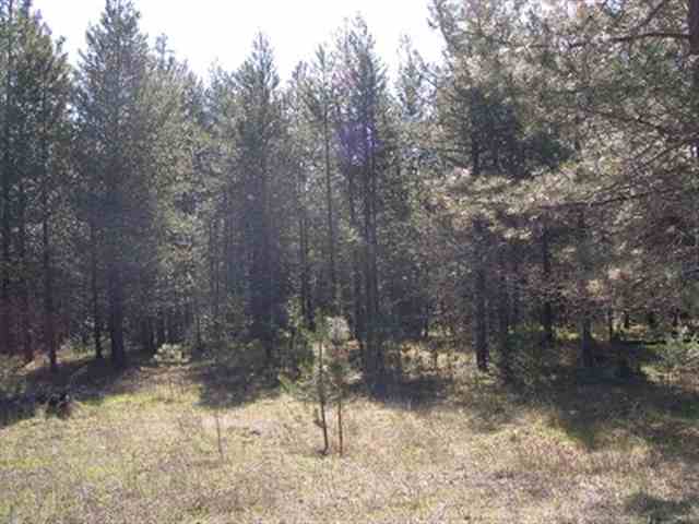 2358 Conklin Meadows Road Newport, WA 99156 - Photo 2 of 9 Gallery Image 2