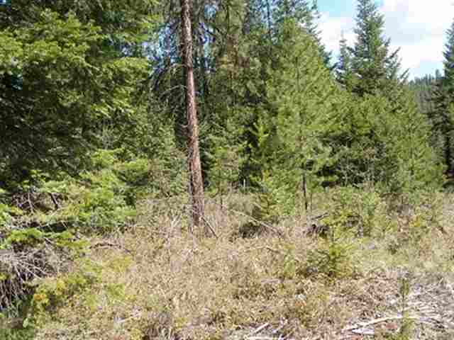 2358 Conklin Meadows Road Newport, WA 99156 - Photo 3 of 9 Gallery Image 3