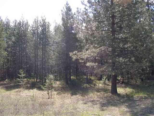 2358 Conklin Meadows Road Newport, WA 99156 - Photo 5 of 9 Gallery Image 5