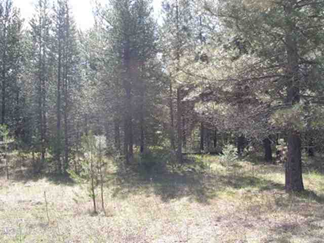 2358 Conklin Meadows Road Newport, WA 99156 - Photo 6 of 9 Gallery Image 6