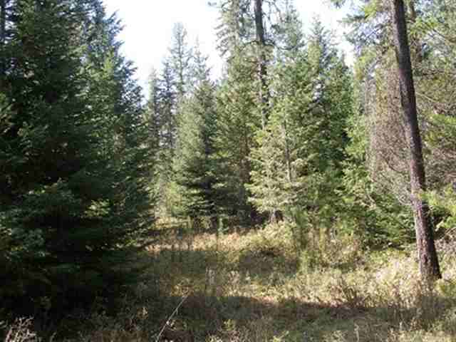 2358 Conklin Meadows Road Newport, WA 99156 - Photo 7 of 9 Gallery Image 7