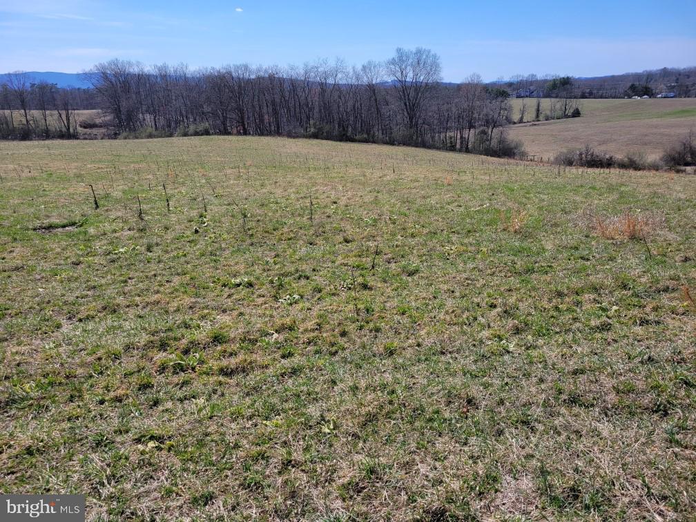 Lot 7 Red Oak Road Cross Junction, VA 22625 - Photo 1 of 1