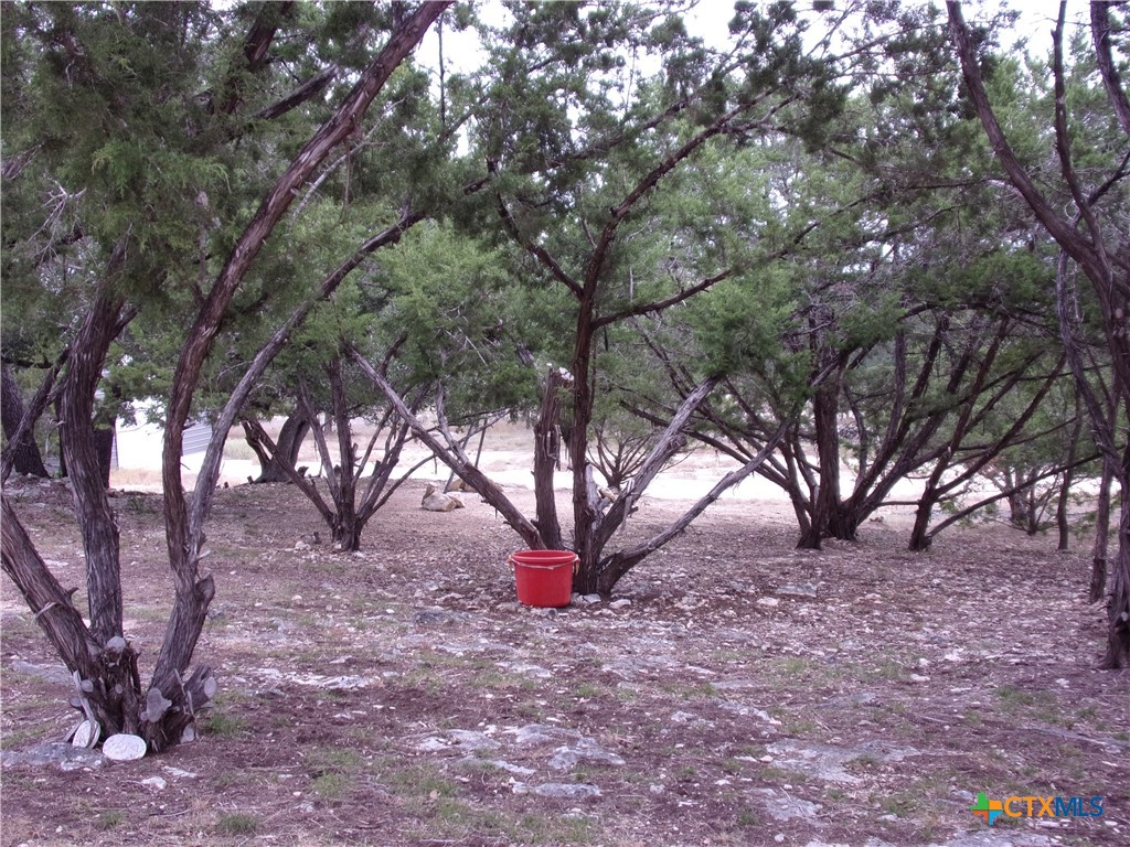 2471 Rolling River View Spring Branch, TX 78070 - Photo 20 of 23 a view of a house with a yard