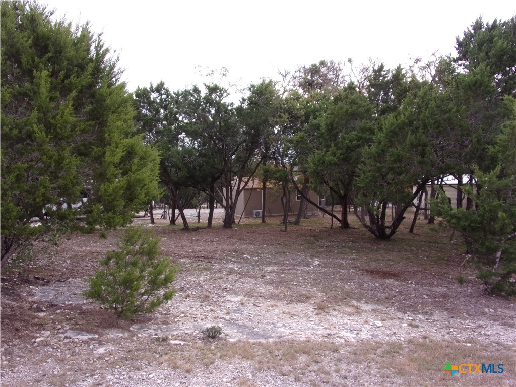 2471 Rolling River View Spring Branch, TX 78070 - Photo 21 of 23 a view of a forest with trees in the background