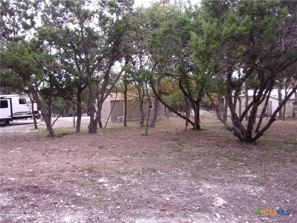 2471 Rolling River View Spring Branch, TX 78070 - Photo 22 of 23 a view of a tree in the middle of a yard