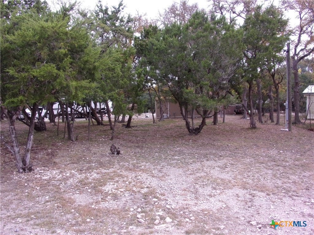 2471 Rolling River View Spring Branch, TX 78070 - Photo 23 of 23 a view of some trees in the forest