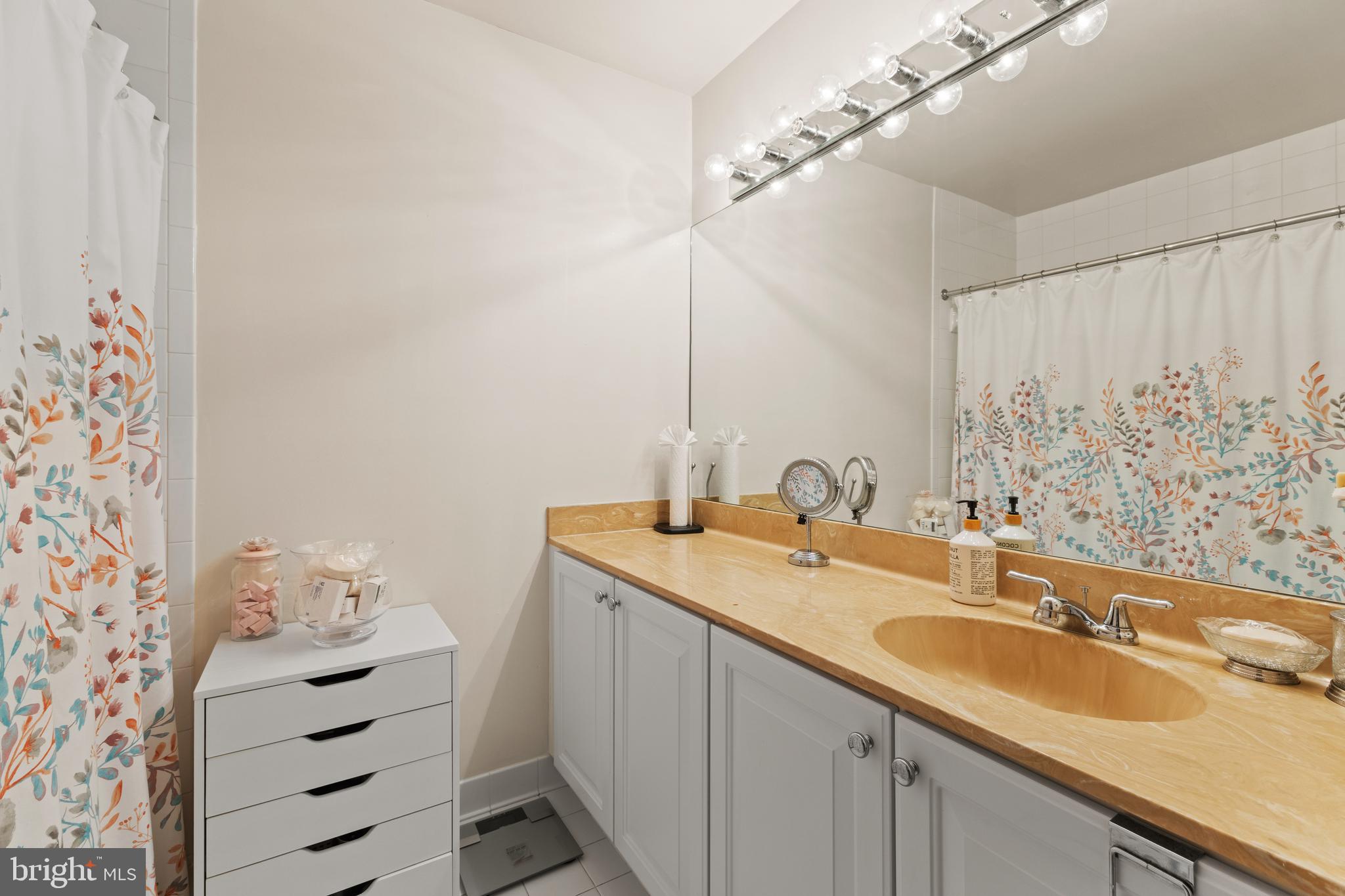 66 Catoctin Court Silver Spring, MD 20906 - Photo 28 of 40 Master bathroom