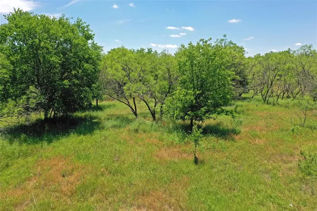a view of a green yard