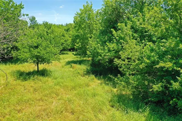 a view of a garden