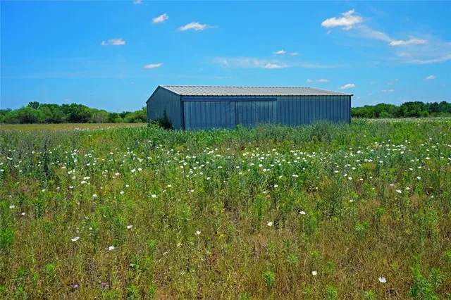 a view of a grassy field with trees in the background