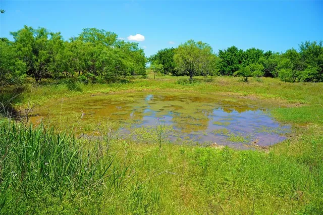 a view of lake background with green space