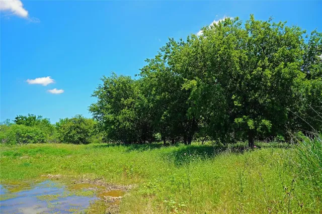 a view of yard with green space