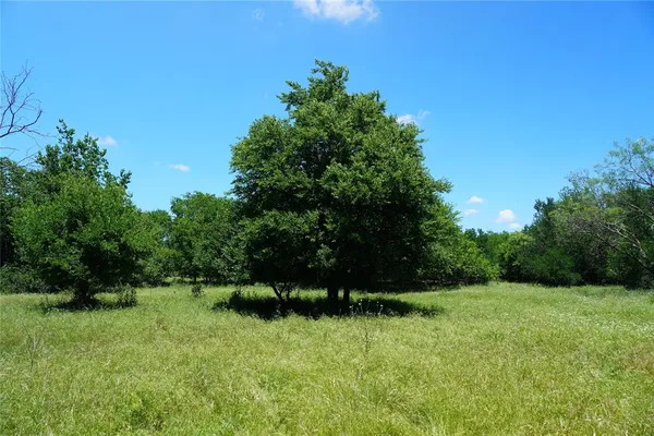 a view of green field with trees in the background