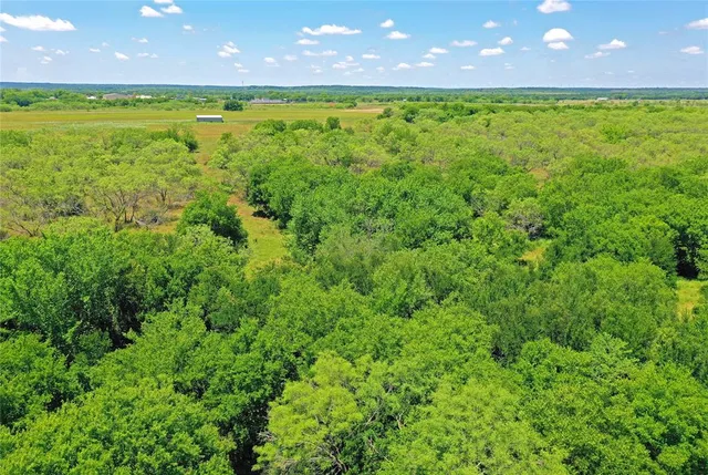 a view of an outdoor space and a yard