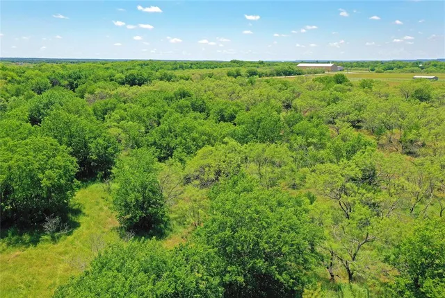 a view of a green field with lots of bushes