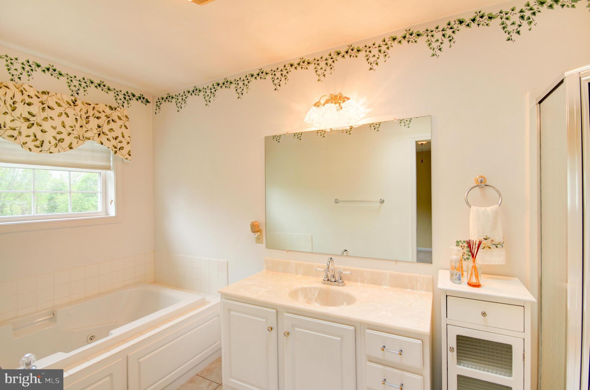 125 Mathias Road Littlestown, PA 17340 - Photo 9 of 23 Bath (Master)