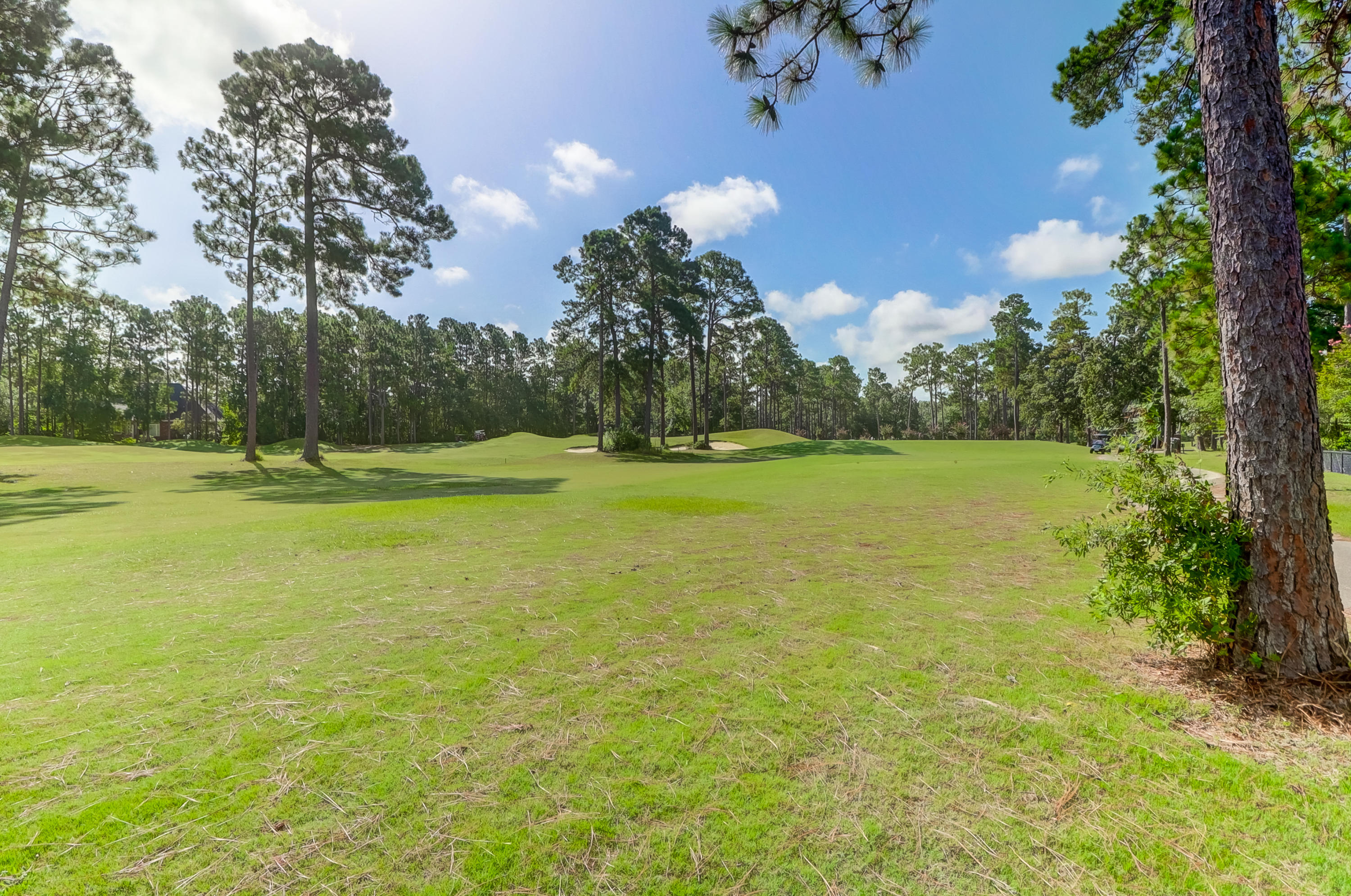 206 Kilarney Road Summerville, SC 29483 - Photo 13 of 60 Located on Hold #10