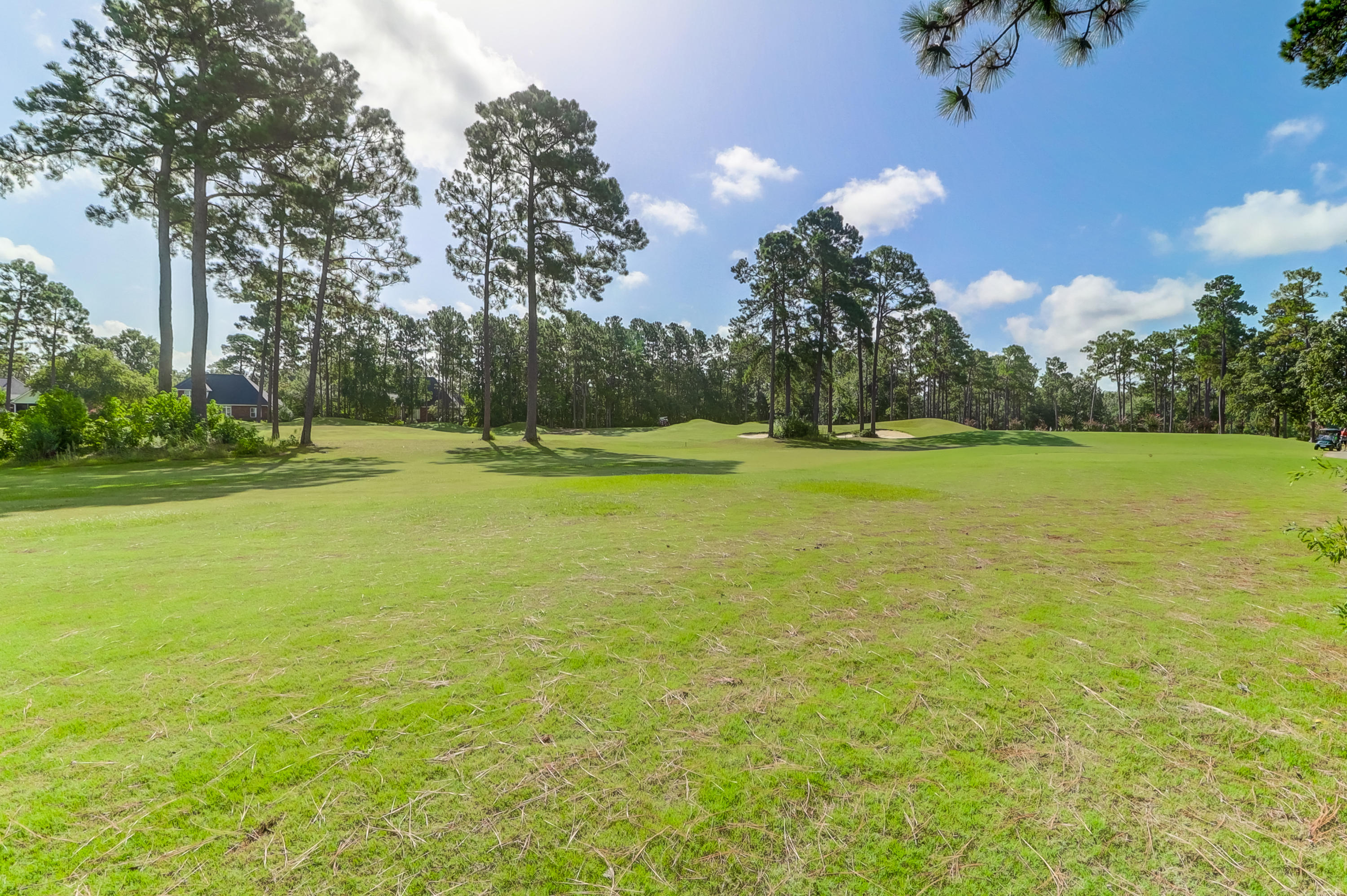 206 Kilarney Road Summerville, SC 29483 - Photo 15 of 60 #10 Fairway