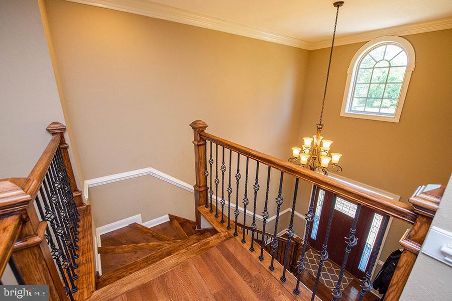 5464 Moose Lodge Road Cambridge, MD 21613 - Photo 54 of 87 Stairs