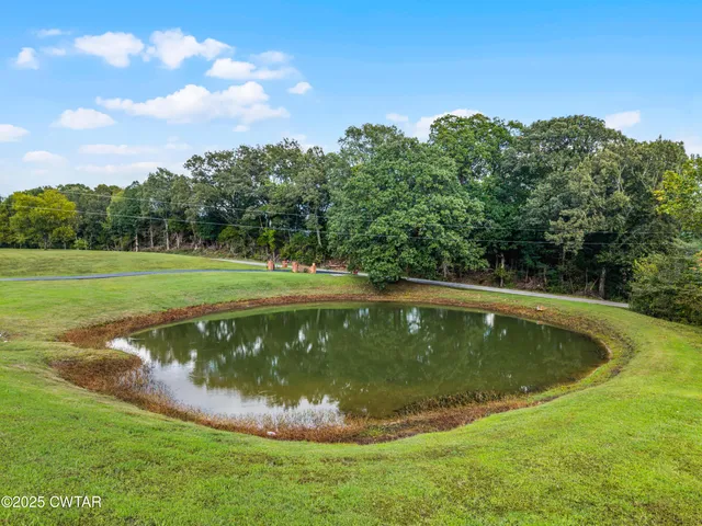 a view of a swimming pool with a yard