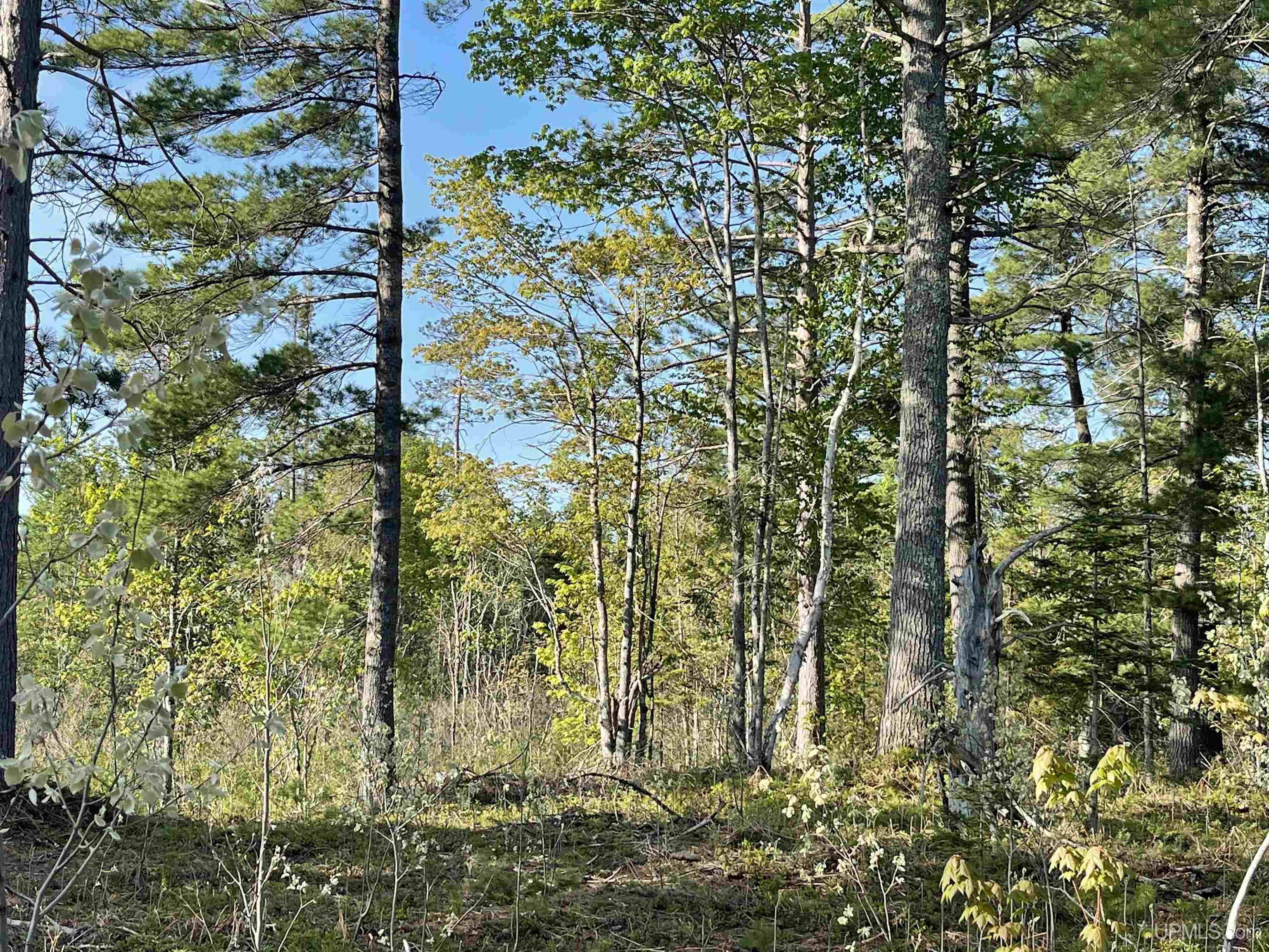 Tbd Tbd Hay Meadow Road Manistique, MI 49854 - Photo 30 of 51