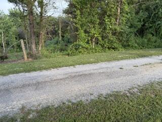 0 Roberts Port Road Nancy, KY 42544 - Photo 3 of 7 IMG_3059