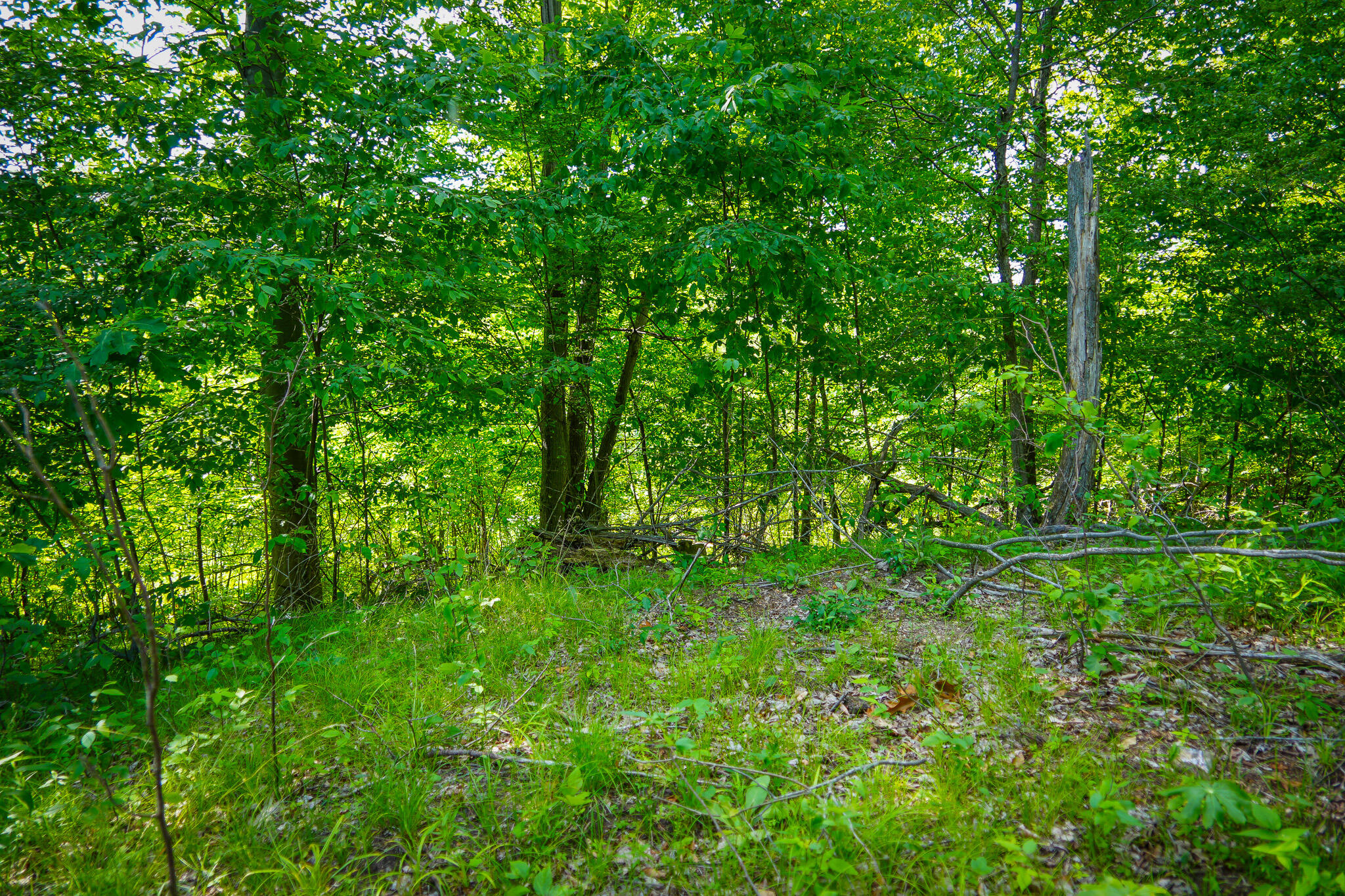 5100 Long Lake Road Reading, MI 49274 - Photo 51 of 63 DSC00703
