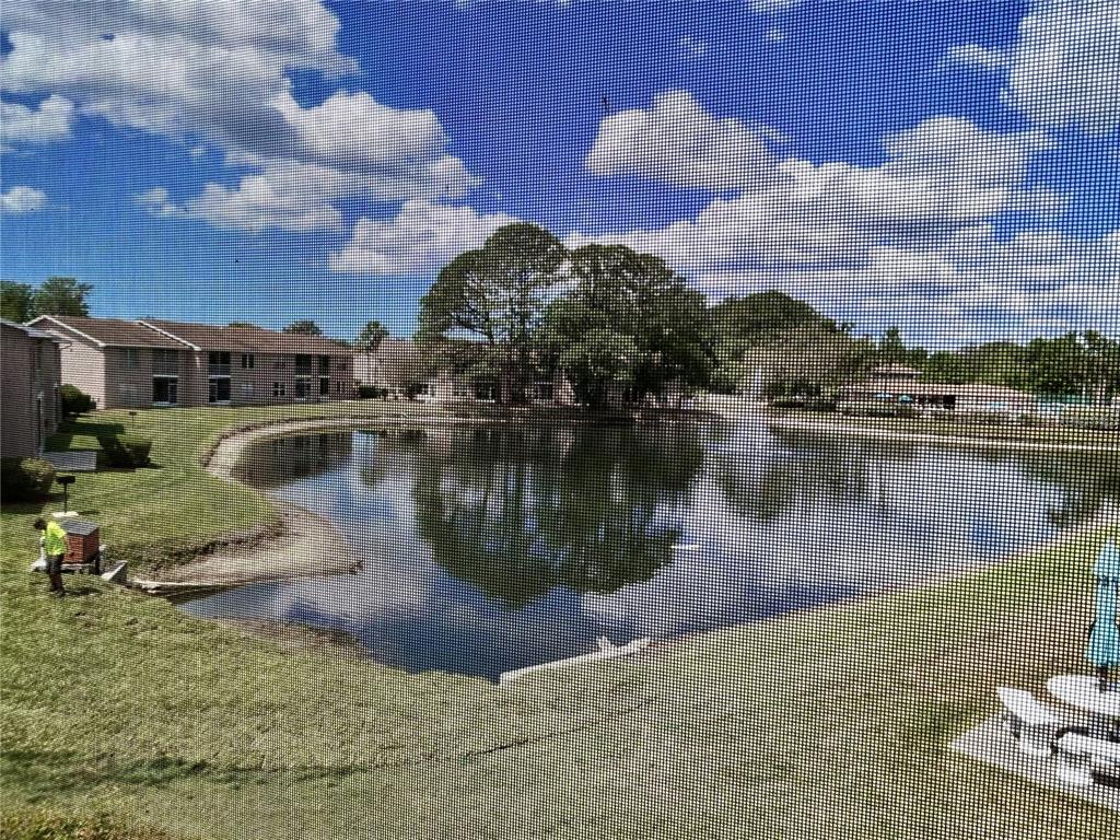 6519 Spring Flower Drive, Unit 24 New Port Richey, FL 34653 - Photo 17 of 42