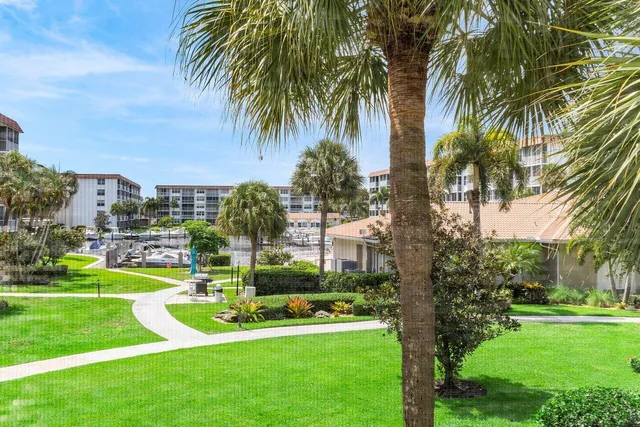 a view of a park with palm trees