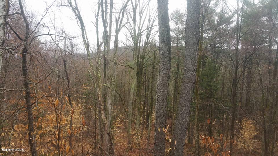1785 East Windsor Road Windsor, MA 01270 - Photo 11 of 24 a view of a yard with a tree