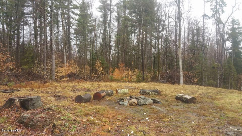 1785 East Windsor Road Windsor, MA 01270 - Photo 10 of 24 a view of a yard with large trees