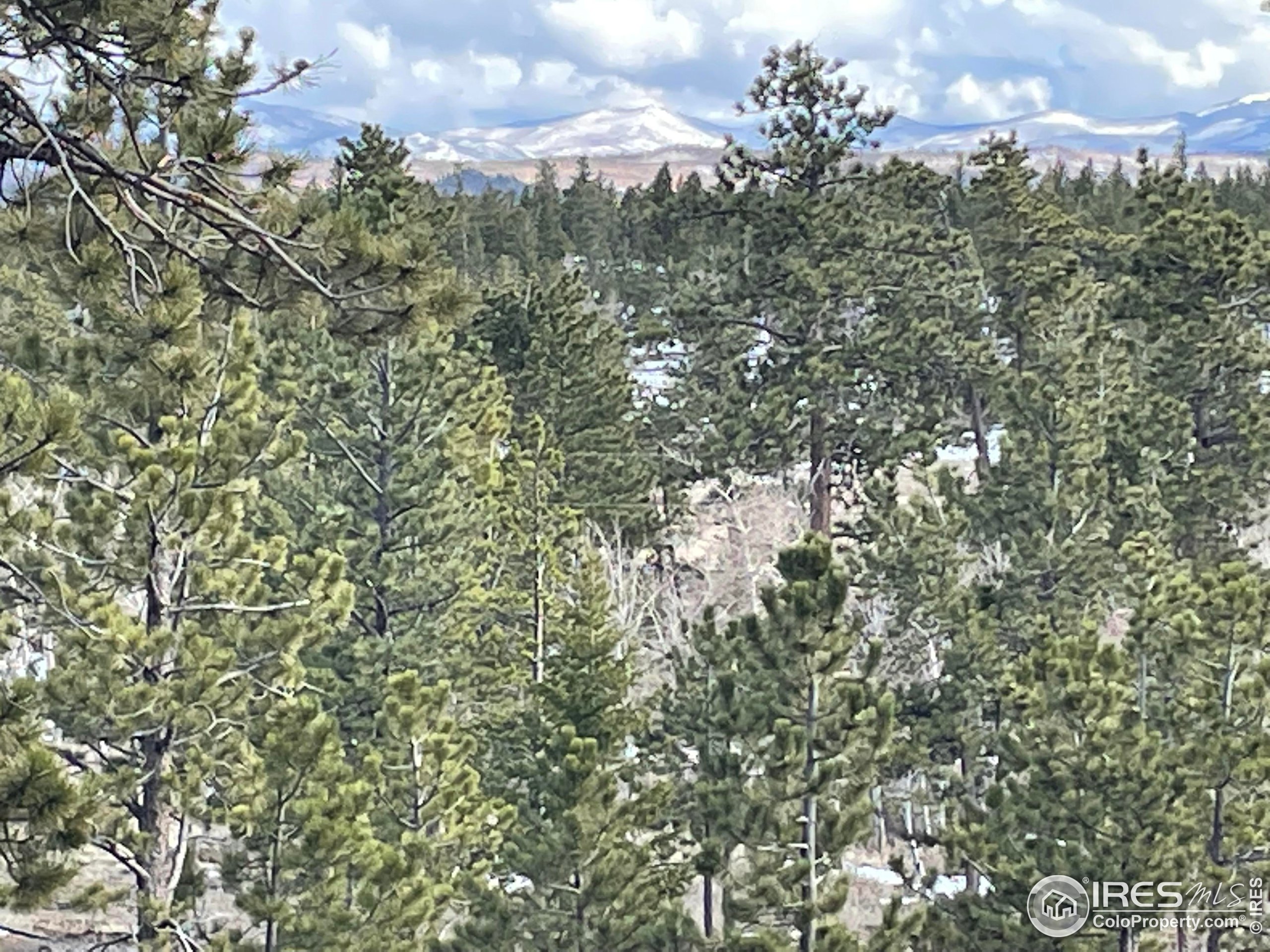 2881 Tiny Bob Road Red Feather Lakes, CO 80545 - Photo 3 of 6 a view of a city and trees