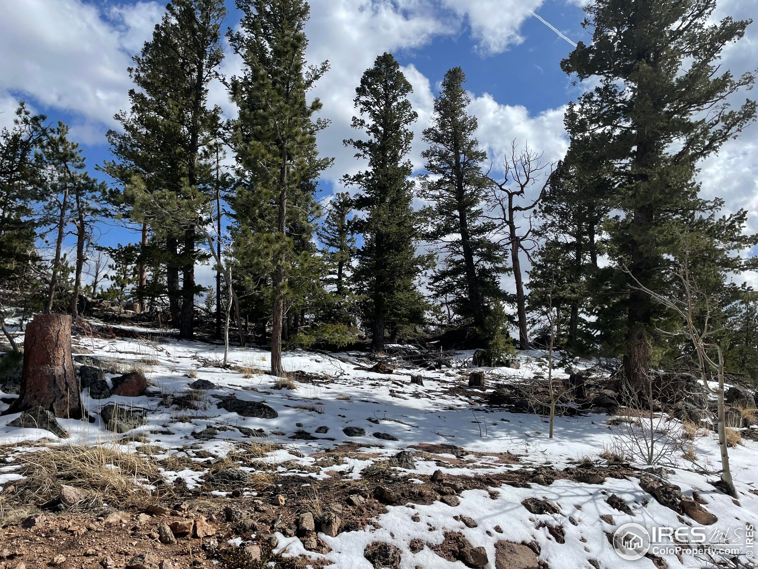 2881 Tiny Bob Road Red Feather Lakes, CO 80545 - Photo 5 of 6
