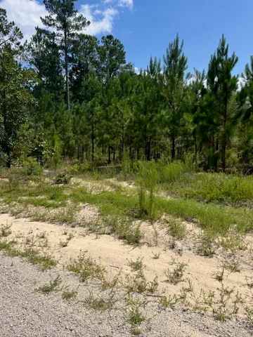 $31,500 | 1 A Brunson Teal Road, Unit BFF 1A, Patrick, SC 29584